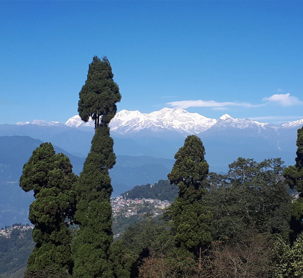 Darjeeling Delight Tour