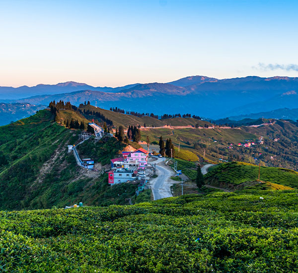 Darjeeling Deluxe Tour